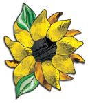 SUNFLOWER BURST